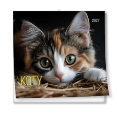 KALENDARZ ALBUMOWY DUŻY KOTY-KAD-9