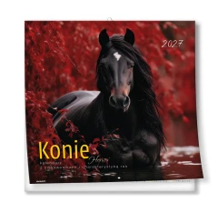 KALENDARZ ALBUMOWY DUŻY KONIE-KAD-11