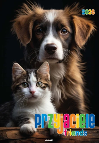 Avanti 2026 KSM-S-7 Przyjaciele_Page_01.jpg