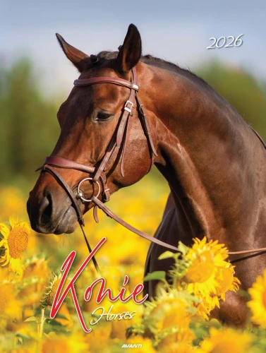 Avanti 2026 KSM-S-5 Konie_Page_01.jpg