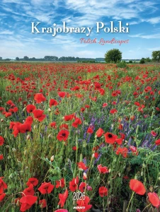 KSM-1 Krajobrazy Polski