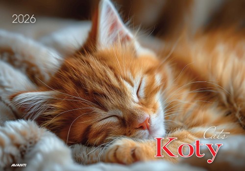 AVANTI KA-1 Koty 2026_Page_01.jpg