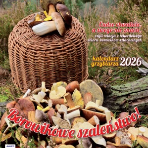 KAD-6 Grzybiarza z poradami