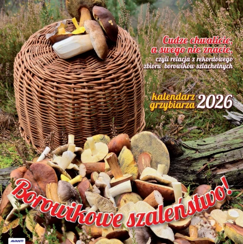 250307 Avanti 2026 KAD-6 Grzybiarza toprint_Page_01.jpg