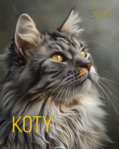 AVANTI A3-13 Koty 2026_Page_01.jpg