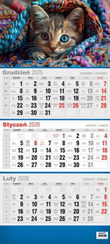 Avanti 2026 KTT 3D_Page_10.jpg