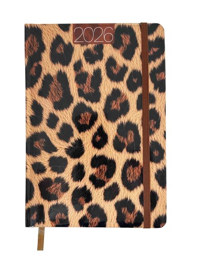 AVANTI 2026 K-A5T LFoto V-1 EAN;5905525867192.jpg