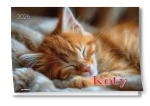 AVANTI-KA-1-Koty-okladka.webp