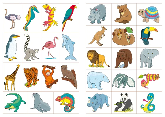 02-zoo-n.png